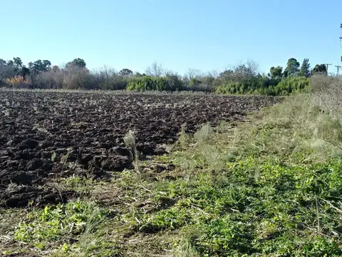 56 entre 221 y 223 Echeverrí La Plata