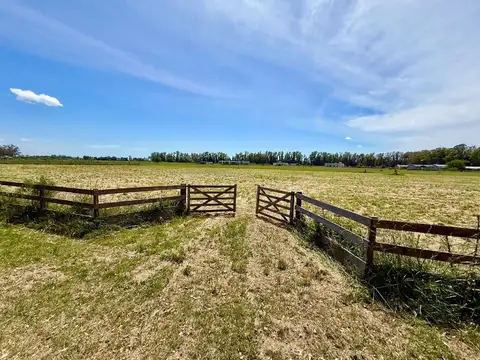 VENTA LOTE VILLA RUIZ 