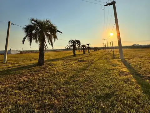 Terreno en Venta en Colonia Carolina, USD 8.000