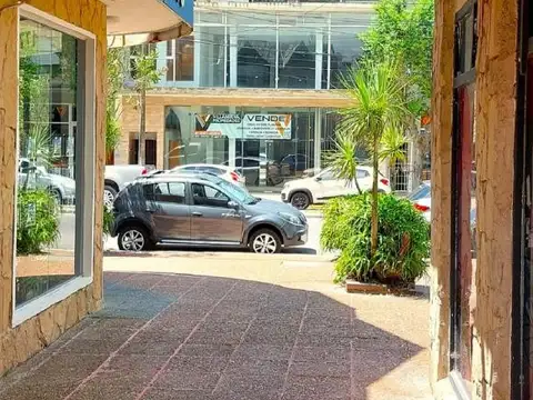 Muy calido departamento de dos ambientes en pleno centro