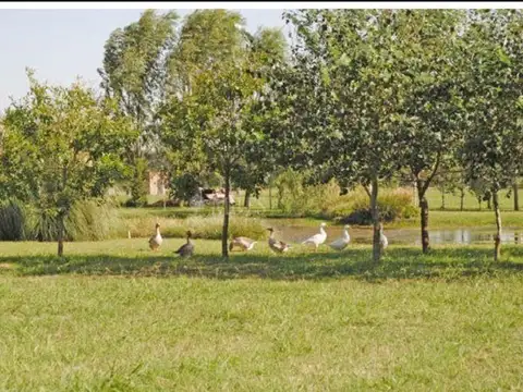 Terreno en Venta en Haras San Pablo, USD 119.000