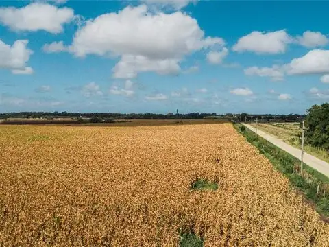Campo en Venta Agricola