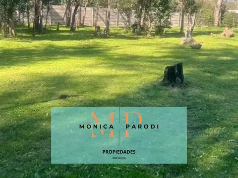 Lote en venta en La Reja Grande – amplio y con excelente potencial