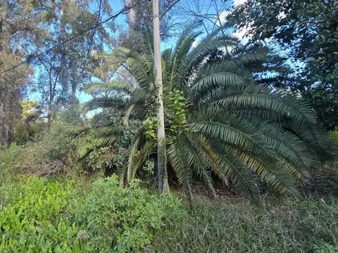 Terreno Lote  en Venta en El Remanso, Exaltación de la Cruz, G.B.A. Zona Norte