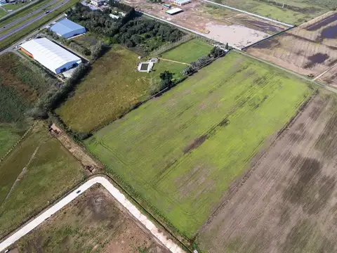Terreno compuesto de 6 hectáreas.