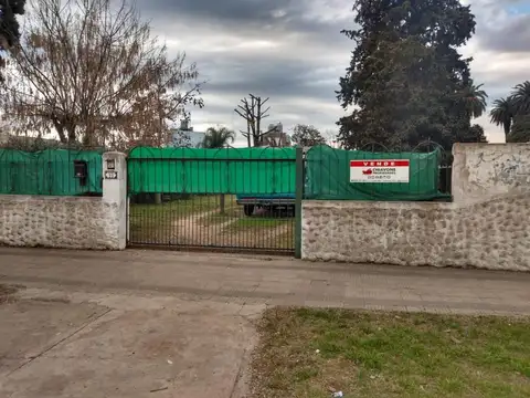 Piedras 100