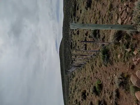 Campo en Venta Ganadero