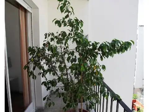 Departamento en Alquiler en Palermo, USD 3.300