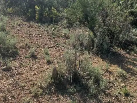 Terreno en Venta en Lujan De Cuyo, USD 15.000