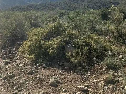 OPENHOUSE vende magníficos terrenos Barrio La Crucesita, Lujan de cuyo.