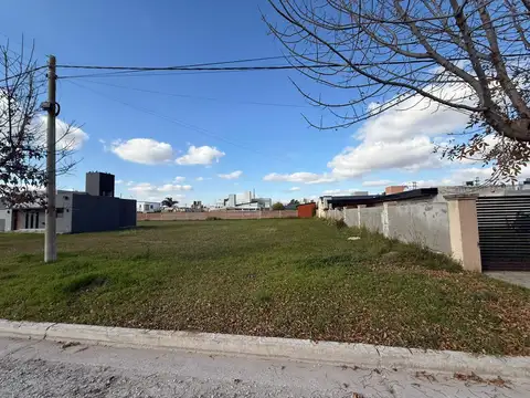 EL JACARANDA  al 1800