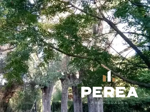 Quinta en Barrio San Pedro