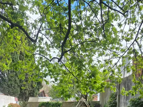 Terreno en Venta en Mar del Plata, USD 45.000