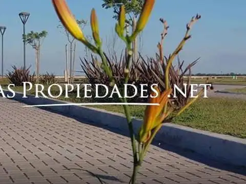 Terreno en Venta 40  mts Frente
