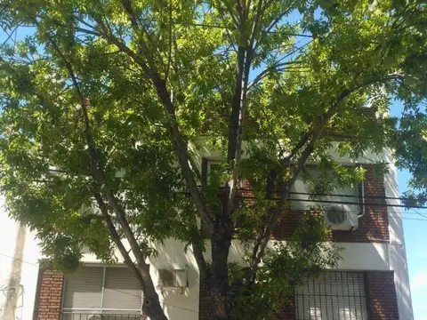 Hermoso Departamento de 3 Ambientes Muy Luminoso con Balcón