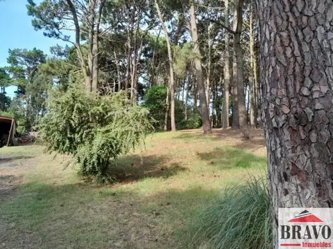 Terreno en Venta 15  mts Frente