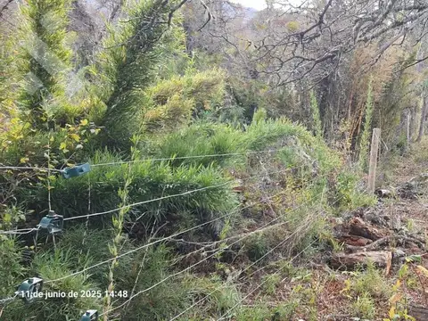 Terreno en Venta 12  mts Frente