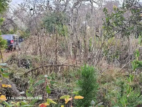 Venta-Terreno-Alto Kaleuche Manzana 3 Lote 25-San Martin de los Andes