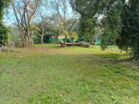 Terreno en Alquiler de 838,0 m2
