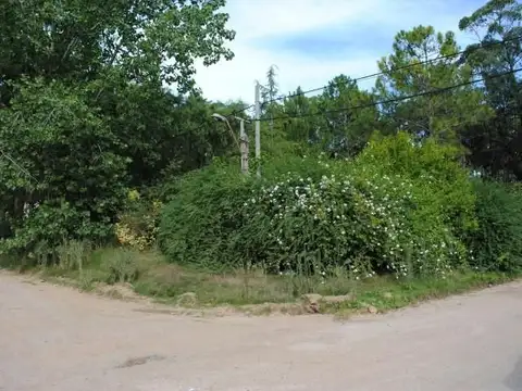 Terreno en Venta en Punta del Este, USD 250.000