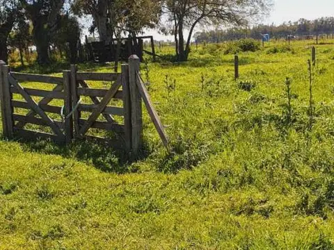 Terreno en Venta de 439,0 m2