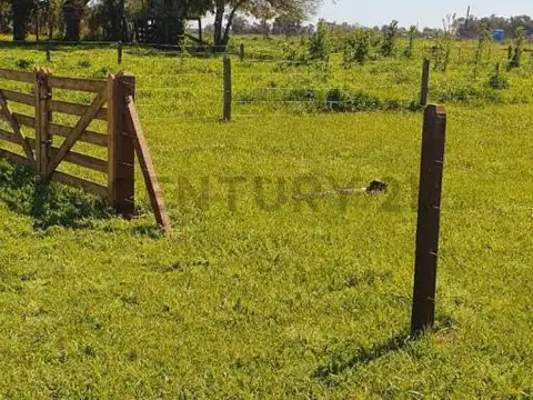 LOTE EN VENTA Barrio El Hornero con escritura CORREDOR CANNING SAN VICENTE