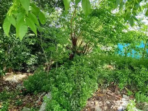 TERRENO EN VENTA LA PLATA 97 E/ 12 y 13  440 m2 