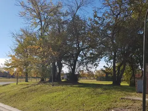 Terreno en Venta de 989,0 m2