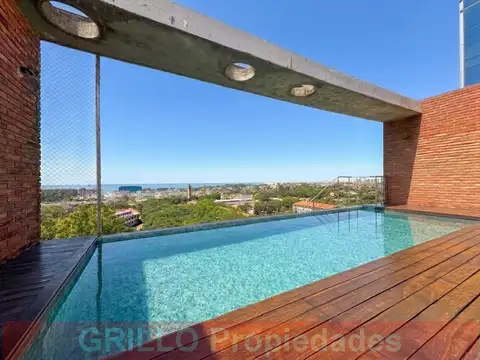 Av. del Libertador 8460. Departamento 2 ambientes muy amplio. Vista al río. Cochera. Pileta.