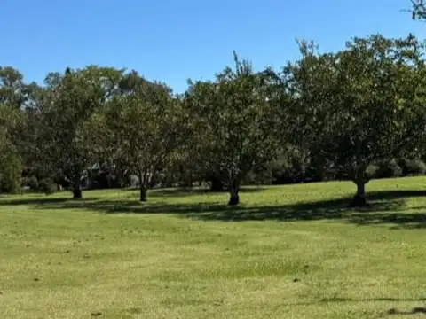 LOTE EN VENTA PEHUAJO