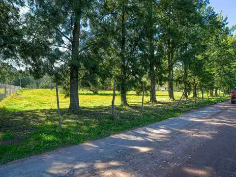 Venta Quinta 13 ambientes quincho y cochera en San Vicente