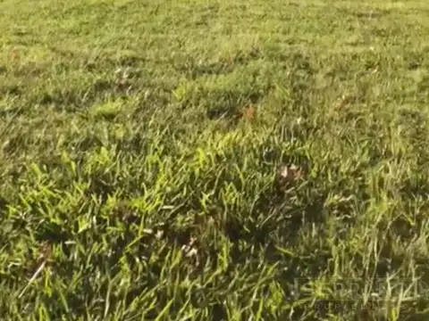 NOT. Venta Lote Barrio Cerrado San Joaquín, Ruta  39, Capilla del Señor, Exaltación de la Cruz