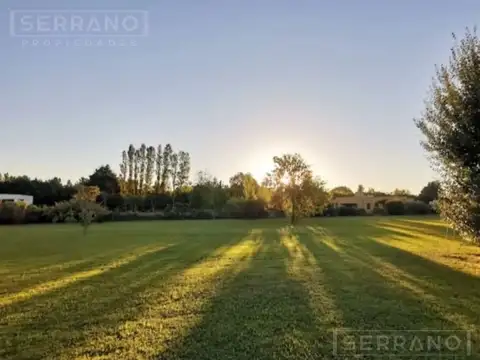 Terreno en Venta 40  mts Frente