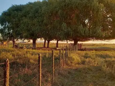 Ruta Interbalnearia Km 337