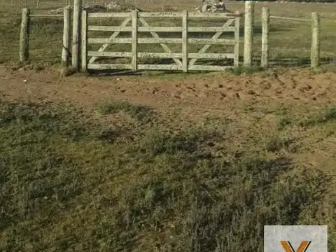Ruta Interbalnearia Km 337