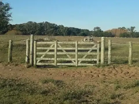 Ruta Interbalnearia Km 337