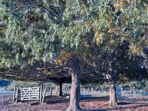 Chacra en venta - 6Ha  - La Lucila Del Mar