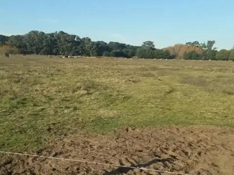 Chacra en venta - 6Ha  - La Lucila Del Mar