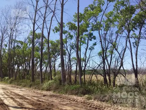 Ruta 25