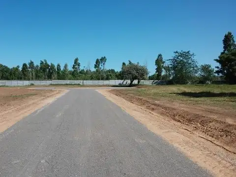 Corsini al 1500  Barrio el Alamo