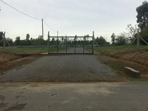 Corsini al 1500  Barrio el Alamo