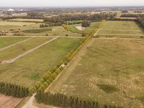 Terreno en Venta de 1242,0 m2