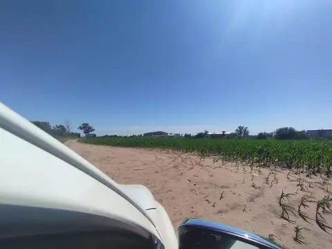 VENDO campo 29 has.