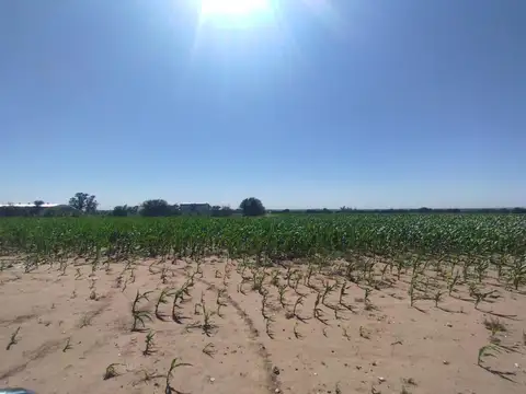 Campo en Venta en Alta Gracia, Santa María