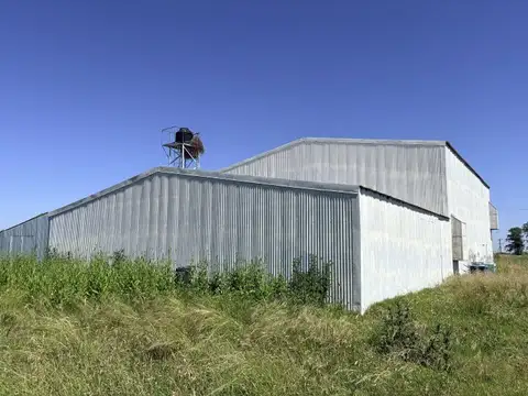 Galpón en Venta en Ibarlucea, Rosario