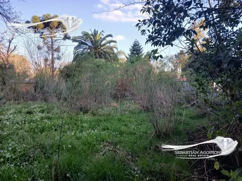 De Los Baqueanos y Alsina
