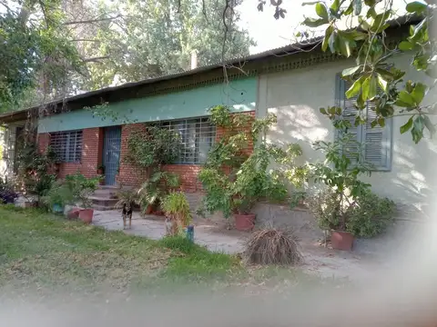 CASA CON VIÑEDOS EN RODEO DE LA CRUZ