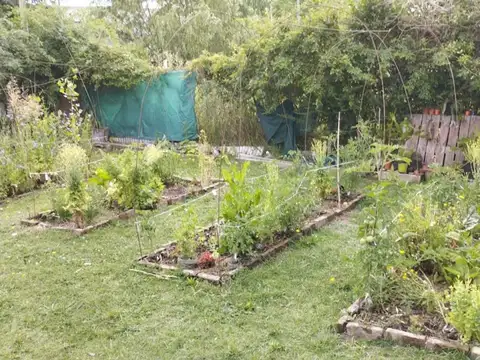 EXCELENTE OPORTUNIDAD  GRAL. RODRIGUEZ SOBRE LOTE DE 400m2