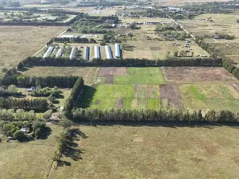 VENTA- 11 HECTAREAS-FONDO DE COMERCIO-HERMOSA CASA