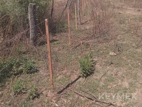 numero 11 de la manzana 42, medidas linderas , superficies y demas circunstancias